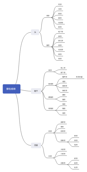 部位名称