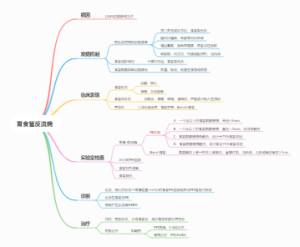 消化系统