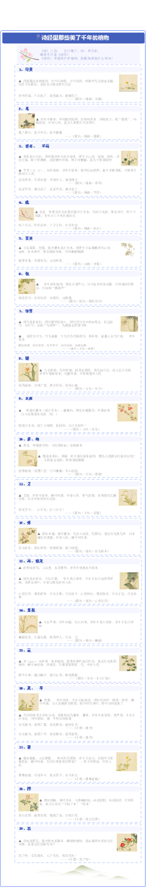 诗经里那些美了千年的植物
