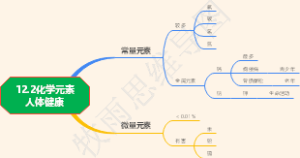 12.2化学元素人体健康