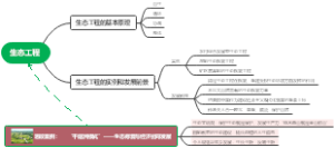 生态工程
