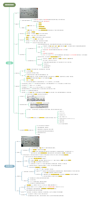 内科学：肺部感染性疾病