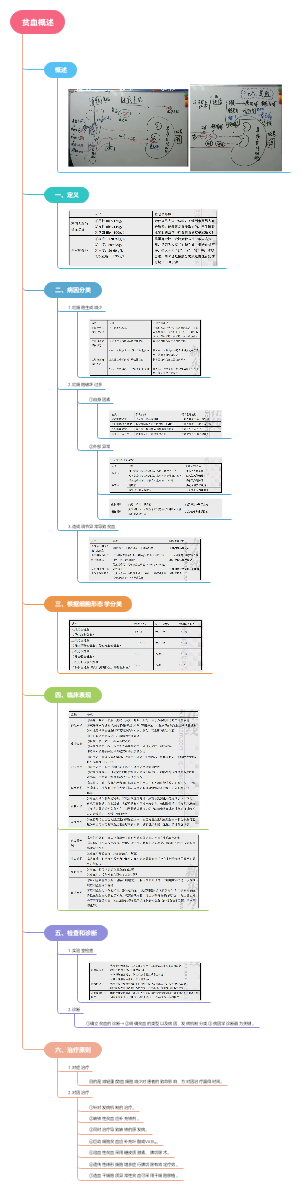 内科学：贫血概述﻿