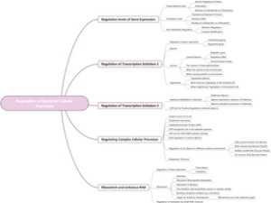 Regulation of Bacterial Cellul