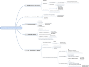 CHAPTER 12 Microbial genetic varition