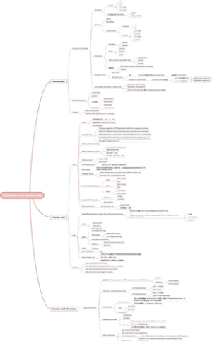 Nucleotides and Nucleic acids