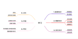 学习