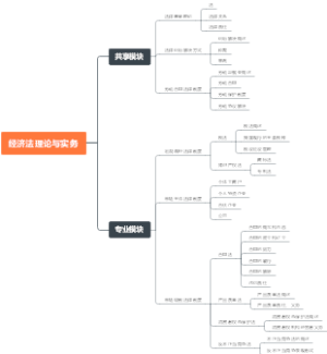 经济法理论与实务