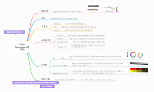 색 지각（color perception）