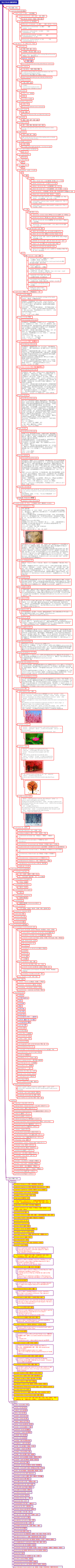 Basic Words 01 时间，空间