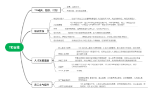 TD支柱