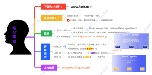 脑AT网测