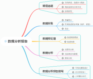 数据分析报告