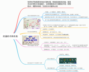 抗菌药-1 作用机制