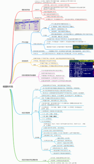 细菌耐药与联合用药