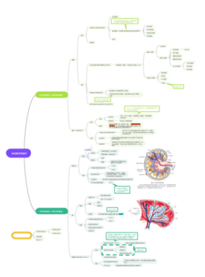 第二章免疫器官和组织
