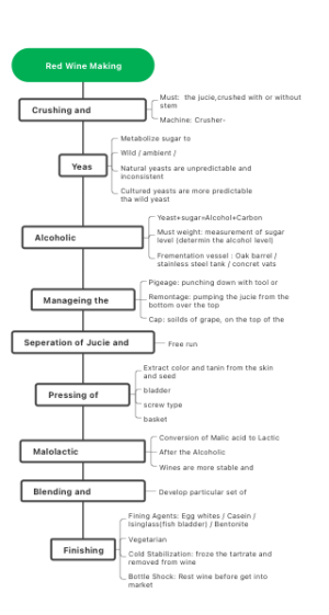 Red Wine Making Process