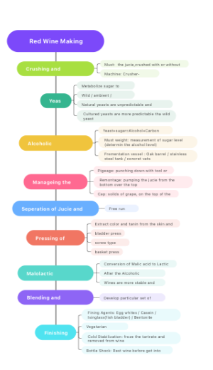 Red Wine Making Process