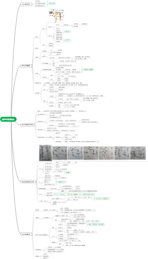 生理学-尿的生成和排出