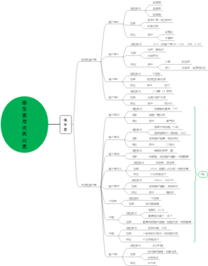 生化-维生素与无机元素
