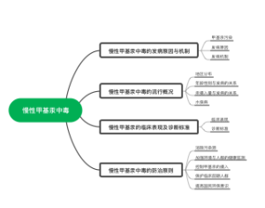 慢性甲基汞中毒
