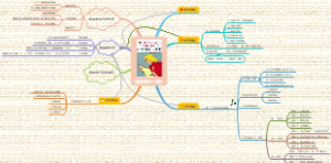 如何阅读一本书
