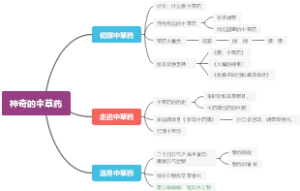 幼儿园班本课程中药材
