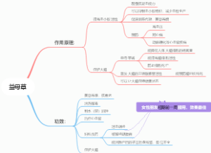 益母草