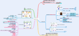 免疫球蛋白指导第五章P25-P30课本第四章