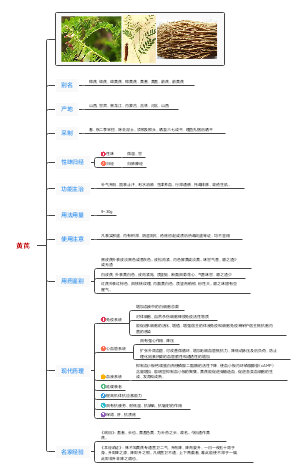黄芪