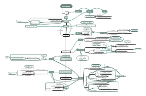 社会主义道路探索