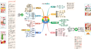 003燕窝思维导图