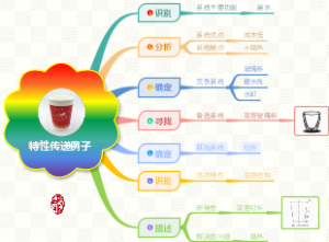 特性传递例子思维导图