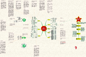 003 党支部发展党员工作