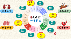 四季养生