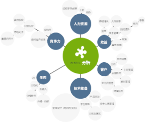 企业单元分析