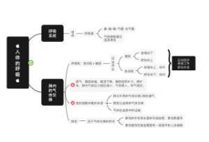 生物第四单元第三章 人体的呼吸