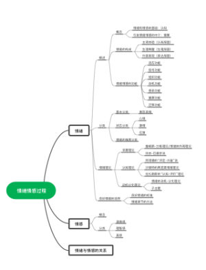 情绪情感过程