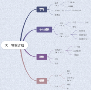 大一寒假计划