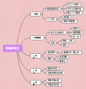 我的高中规划