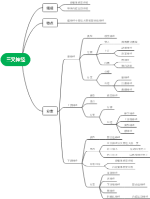 三叉神经