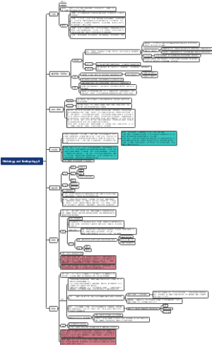Histology and Embryology 