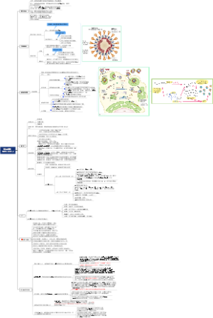 新冠