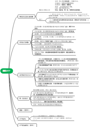 酶和ATP