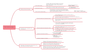 Major Translation Strategies