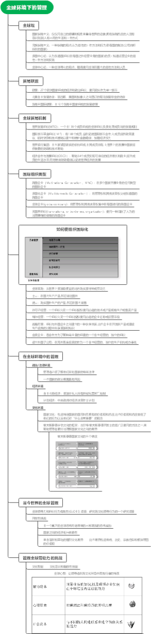 全球环境下的管理