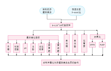 实验设计流程图