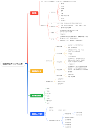 细菌的培养与分离技术