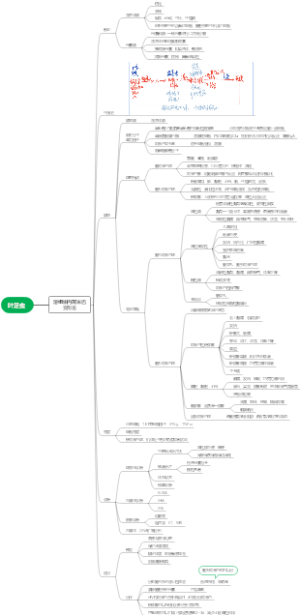 溶组织内阿米巴