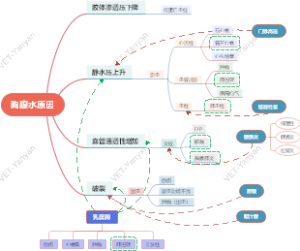 胸腹水原因